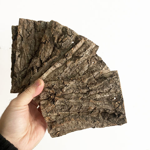Flat Cork Bark 4x6"