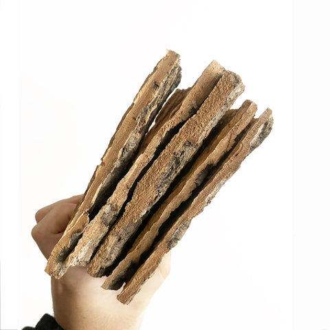 Flat Cork Bark 4x6"
