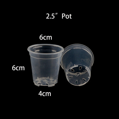 Transparent Hard Plastic 2.5“ Pot (Set of 10)