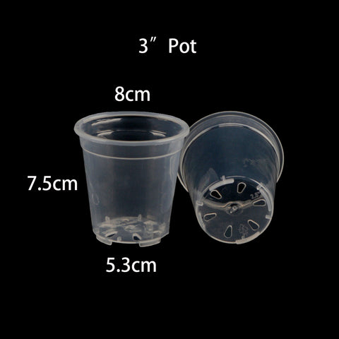 Transparent Hard Plastic 3“ Pot (Set of 10)