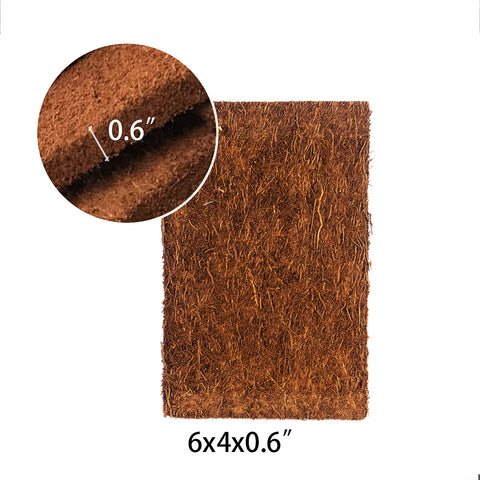 TREE FERN PANEL 6x4x0.6 蛇木板