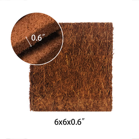 TREE FERN PANEL 6x6x0.6 蛇木板