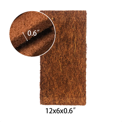 TREE FERN PANEL 12x6x0.6 蛇木板