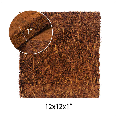 TREE FERN PANEL 12x12x1 蛇木板