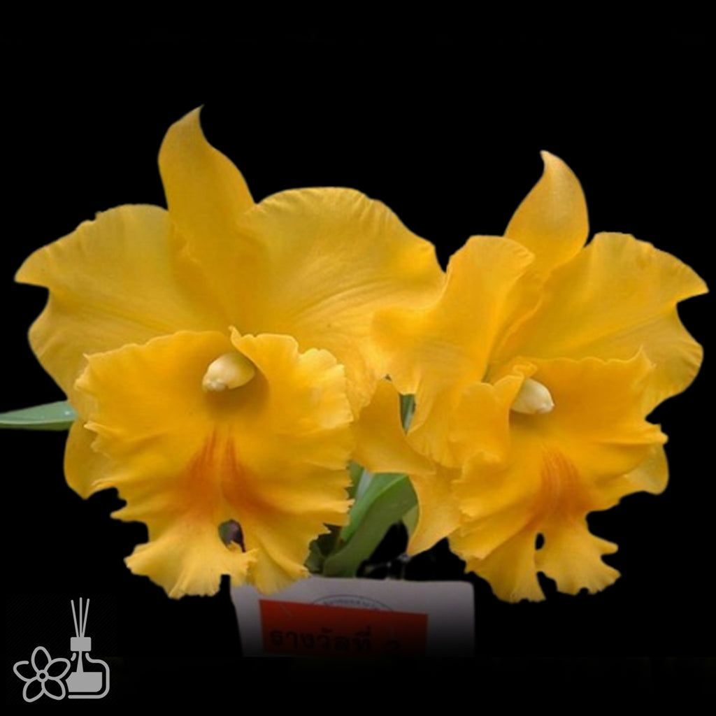 j41_c01ad45f-4dd1-47a1-b3b7-