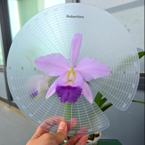 Flower Size Measuring Disk Ruler