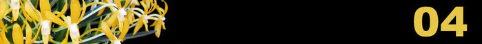 April Neo 26