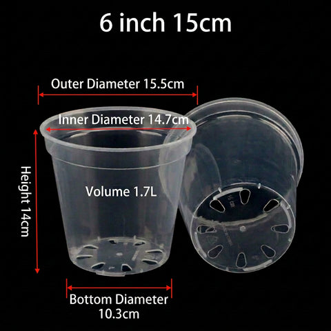 [Shippable] [Marine] Transparent Hard Plastic Pot 透明硬質塑膠盆 [6" / 15cm][Fall Supply Preorder 26]