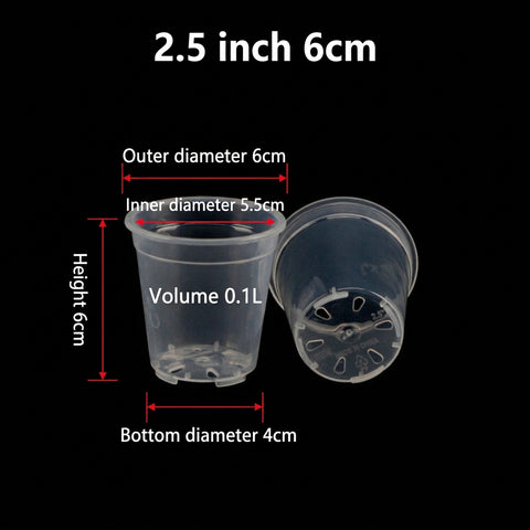 [Shippable] [Marine] Transparent Hard Plastic Pot 透明硬質塑膠盆 [2.5" / 6cm][Fall Supply Preorder 26]