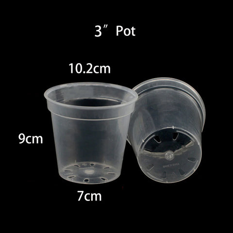 Transparent Hard Plastic 3“ Pot