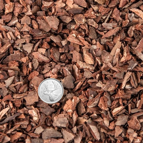 [Shippable] Pine bark 9-12mm 3.6L 腐熟松鱗 [In stock]