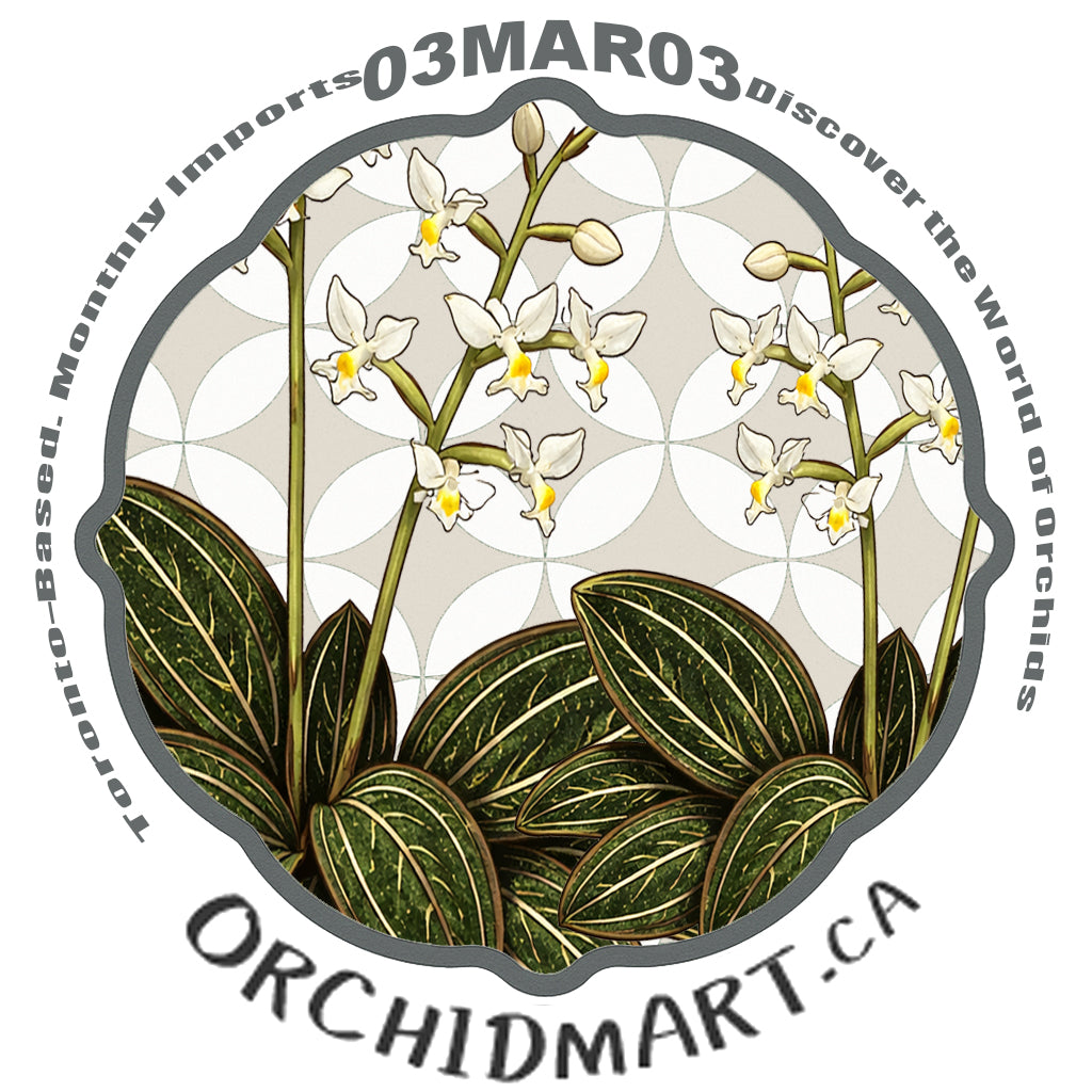 Orchidmart