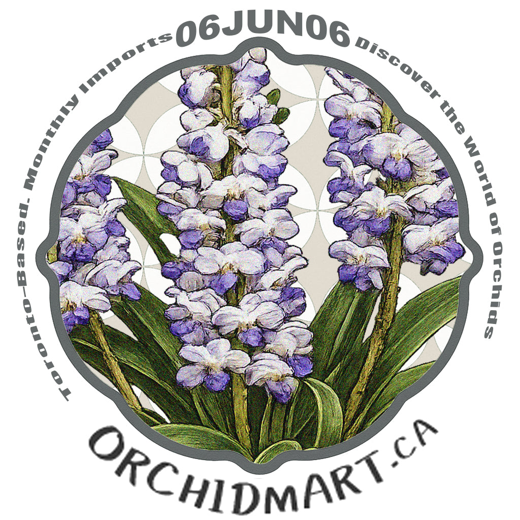 Orchidmart