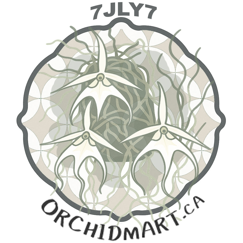 Orchidmart