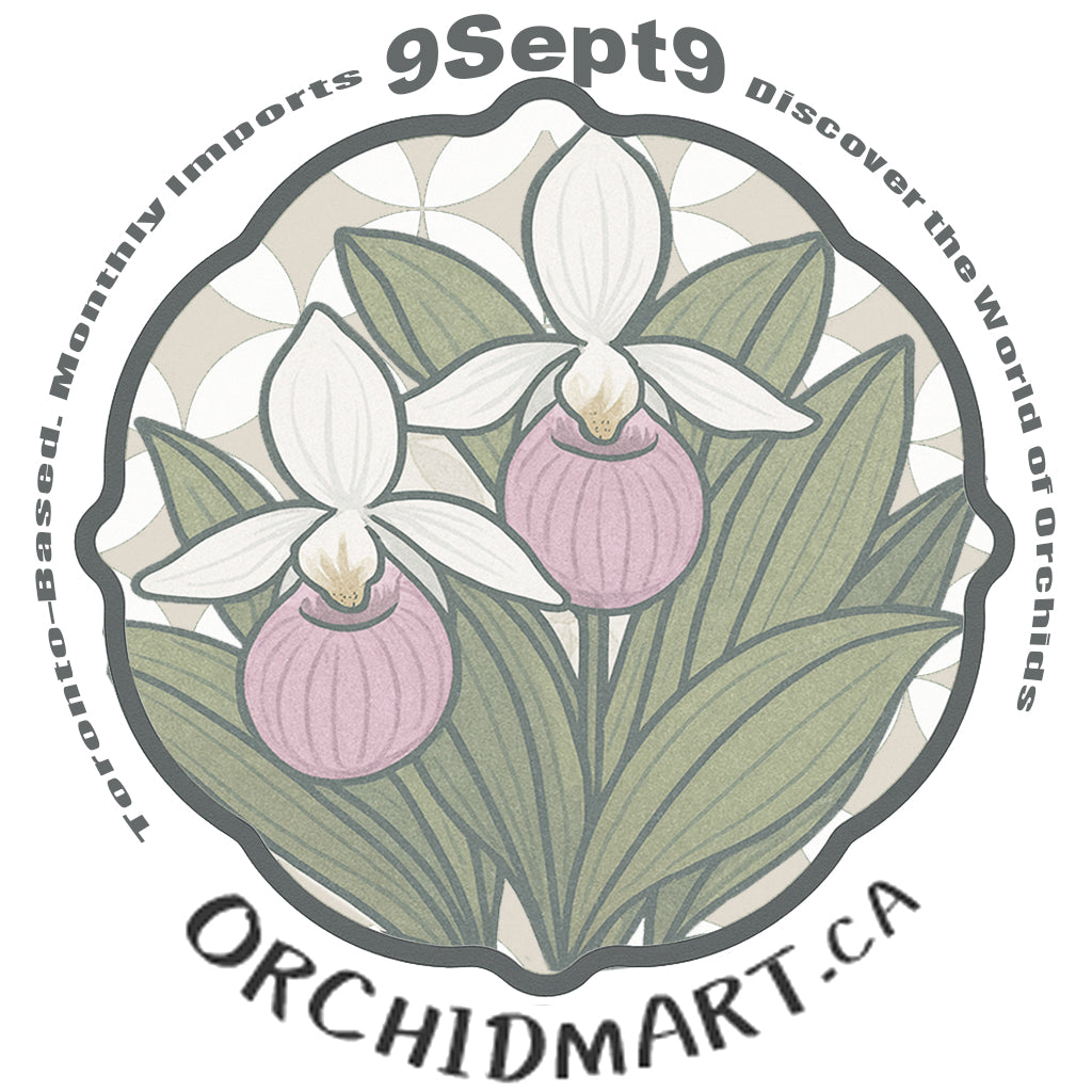 Orchidmart