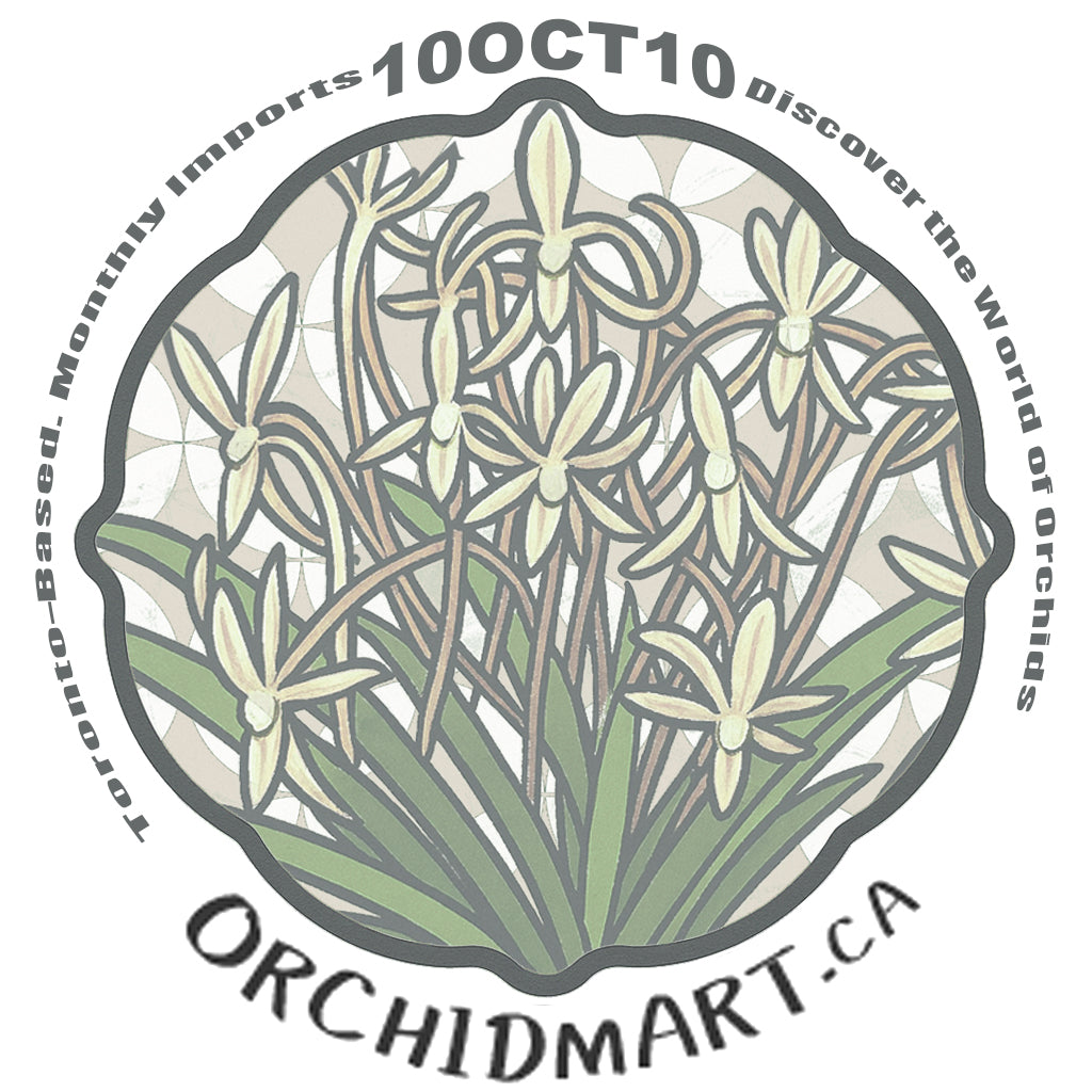 Orchidmart