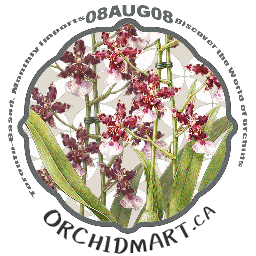 Orchidmart