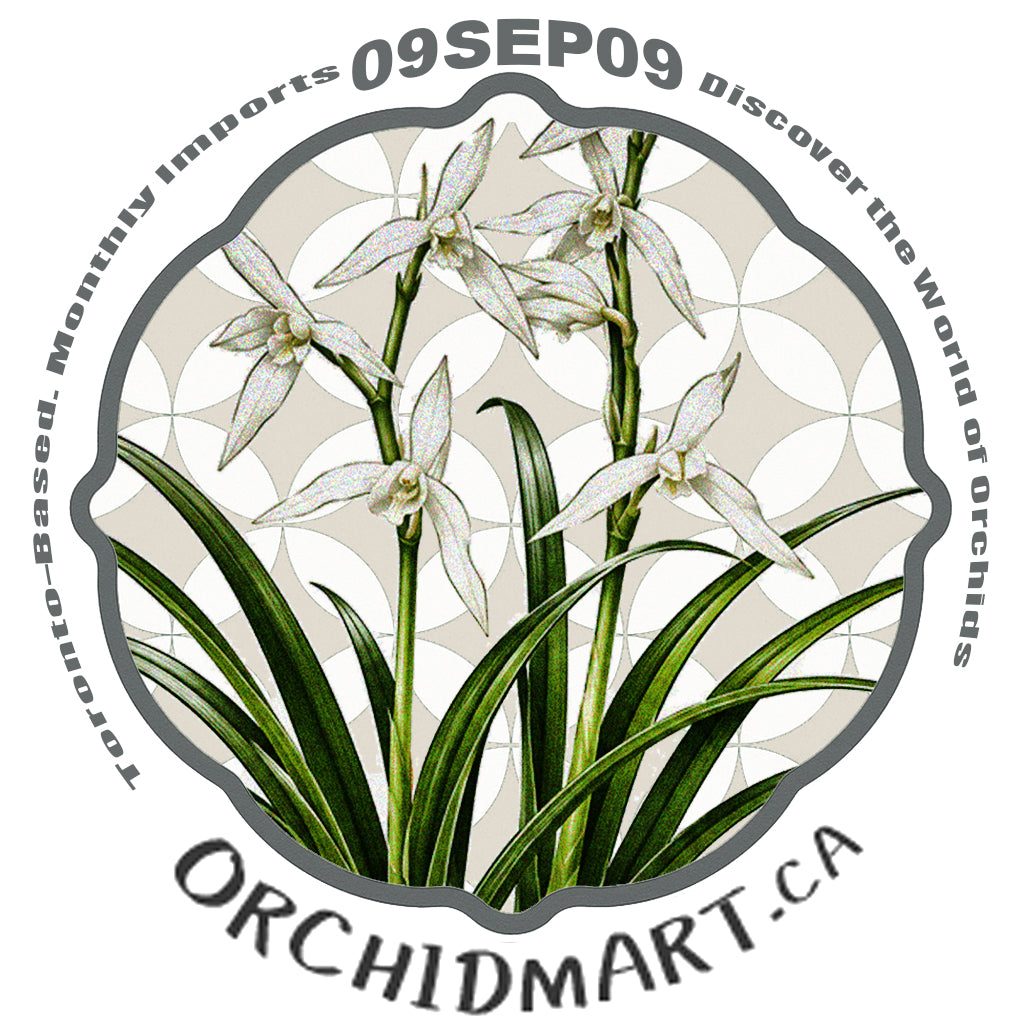 Orchidmart