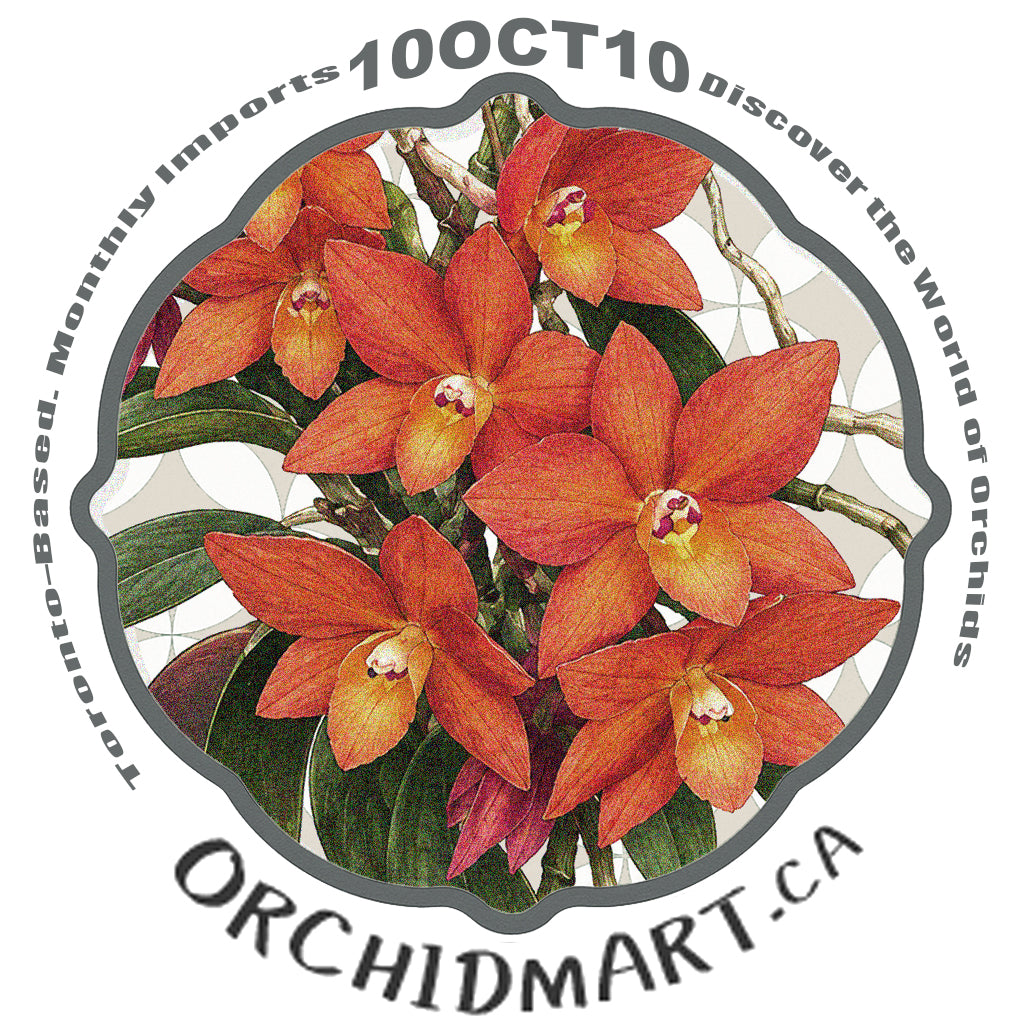Orchidmart