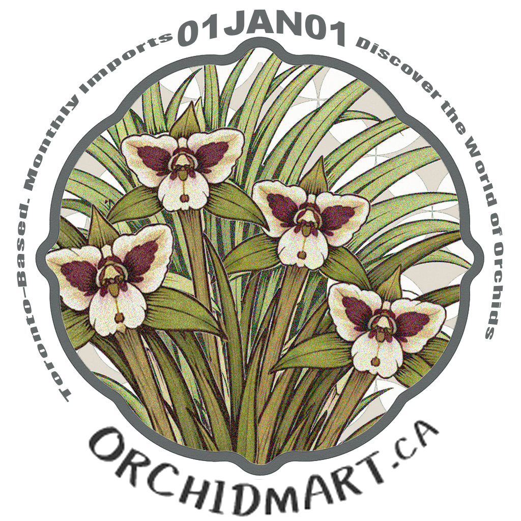 Orchidmart