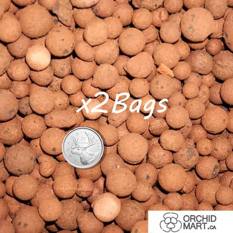 Clay Pebbles 15-25mm x2 陶粒