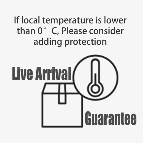 Winter shipping protection/Live Arrival Guarantee