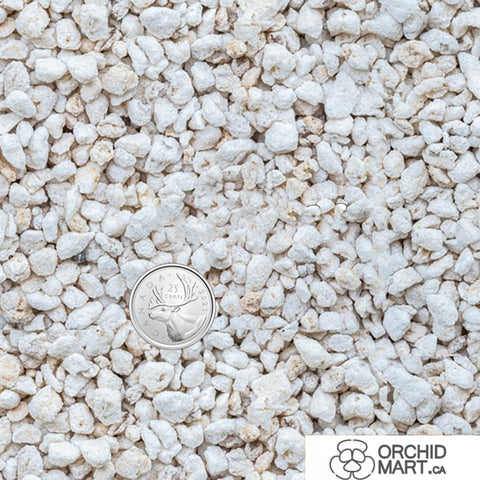 [Shippable] Perlite #4 1-2mm 中號珍珠岩 3.6L