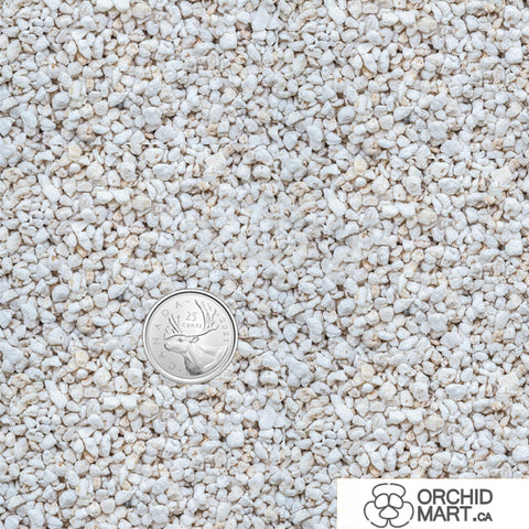 [Shippable] Perlite #2 0.5-1mm 小號珍珠岩 3.6L