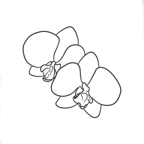 Phal Saffron Star 橘子香水