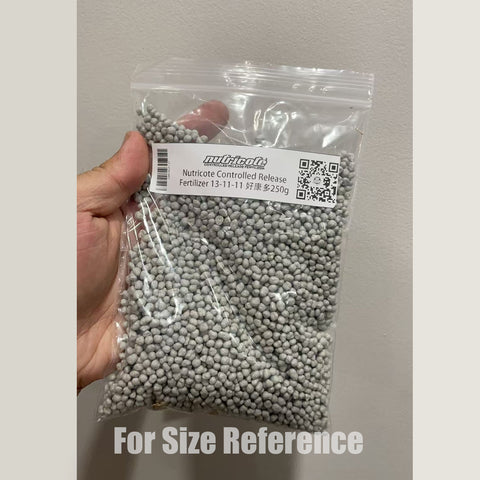 [Shippable] Nutricote Controlled Release Fertilizer 13-11-11 好康多蘭花緩釋肥 250g  [Marine][Summer Preorder 26]