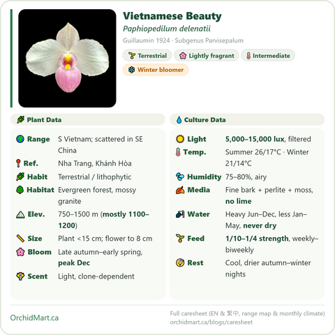 Paphiopedilum delenatii caresheet — habitat, temperature, light, media, watering
