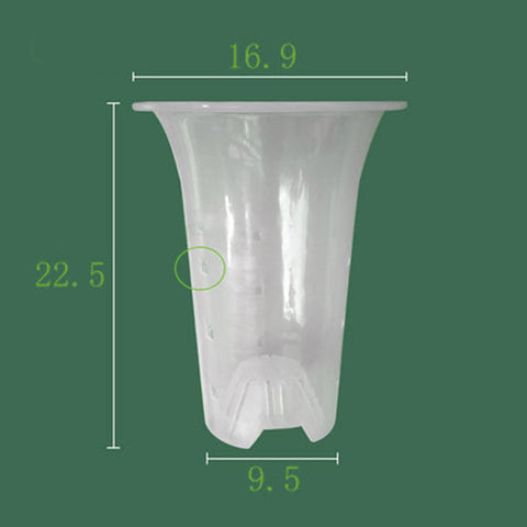 6" Transparent Cymbidium Pot