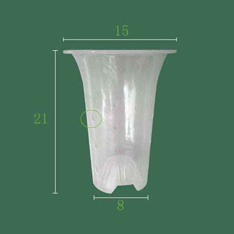 5" Transparent Cymbidium Pot