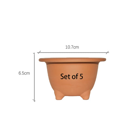 Neofinetia falcata clay pot 4" short x5